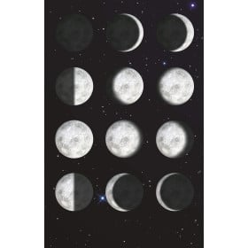 La Luna En Tu Habitación 2