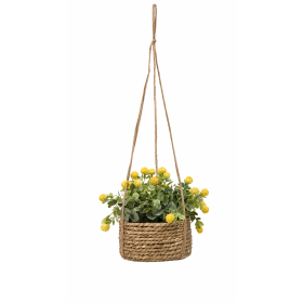 Flores Colgantes Surtido