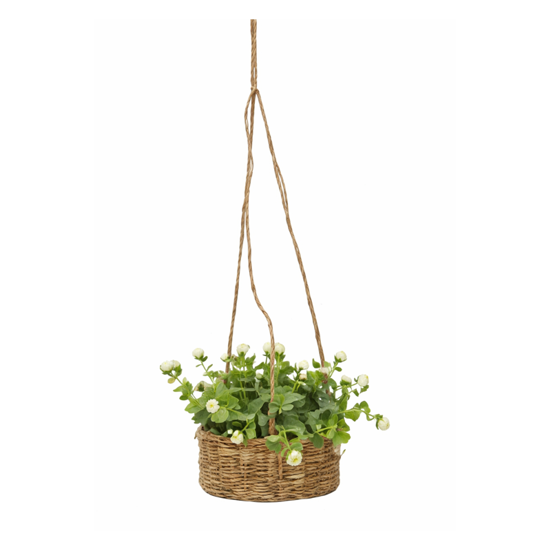 Flores Colgantes Surtido