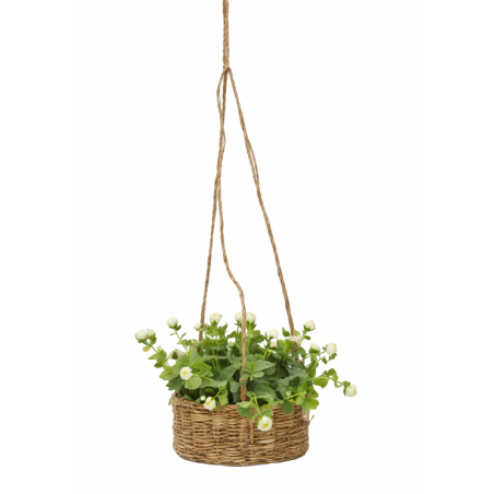 Flores Colgantes Surtido