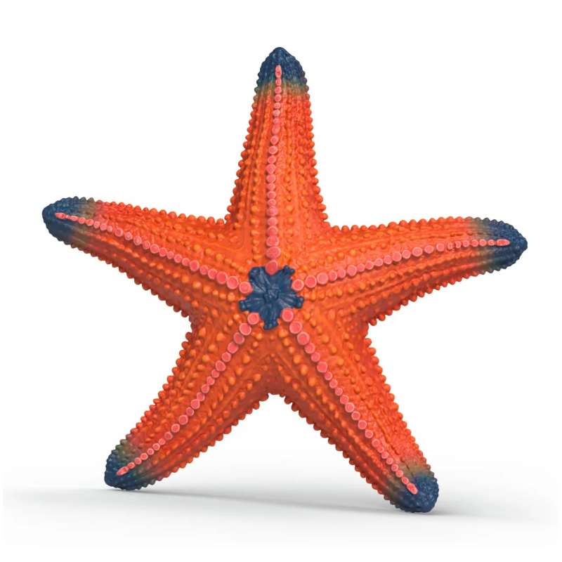 Schleich Estrella De Mar Cambia De Color De Schleich