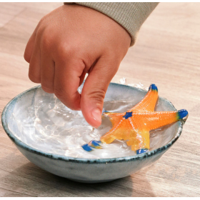 Schleich Estrella De Mar Cambia De Color De Schleich 2