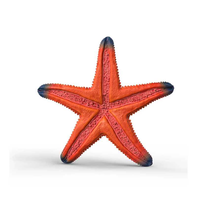 Schleich Estrella De Mar Cambia De Color