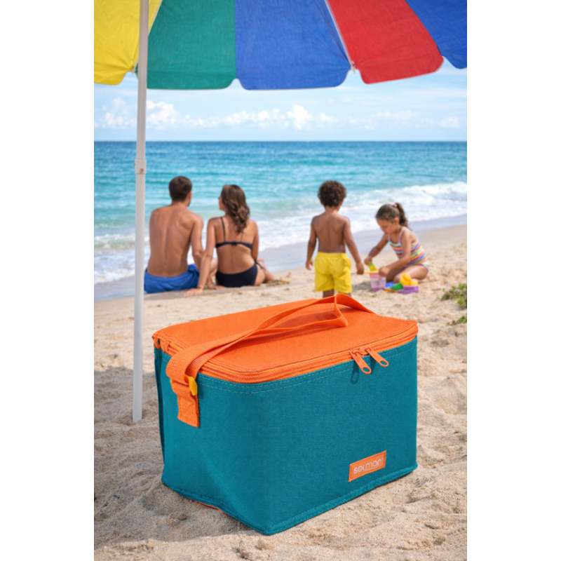 Nevera Portátil 22 Cm Surtida