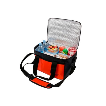 Nevera Térmica Con Asas 29 Cm Surtida