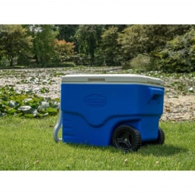Nevera Rígida con Ruedas 38 Litros 40QT Coleman 2