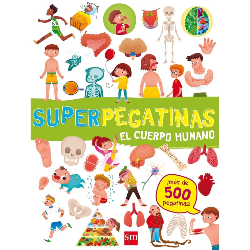Superpegatinas El Cuerpo Humano De Comercial SM