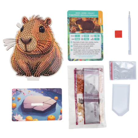 Crystal Art Buddy Surtido