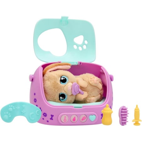 Baby Paws Just Born Puppy