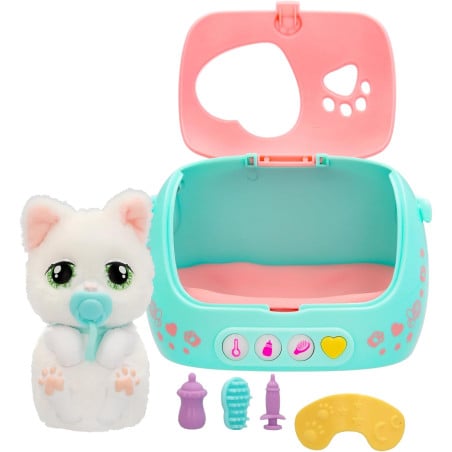 Baby Paws Just Born Cat