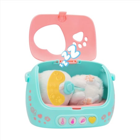 Baby Paws Just Born Cat