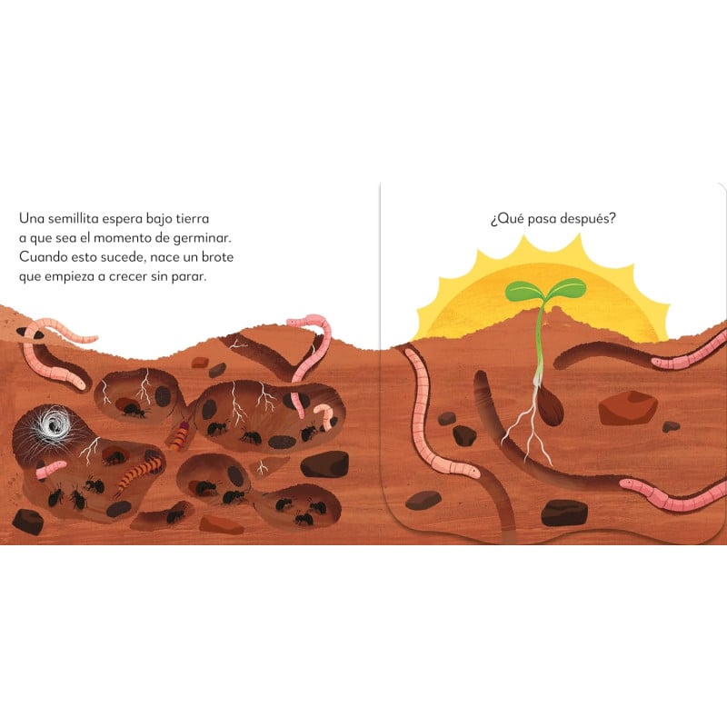 ¡POP-UP Sorpresa! El Árbol