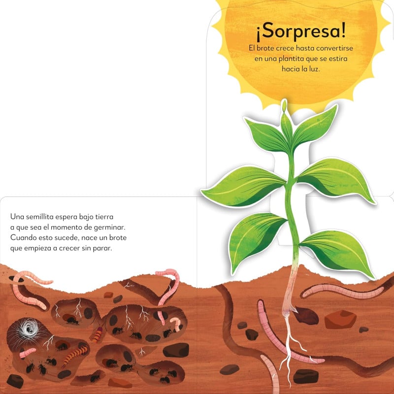 ¡POP-UP Sorpresa! El Árbol