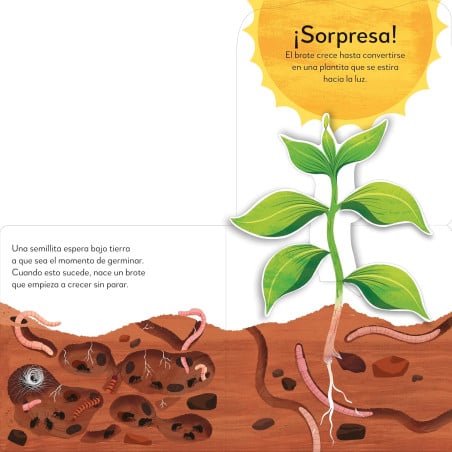 ¡POP-UP Sorpresa! El Árbol