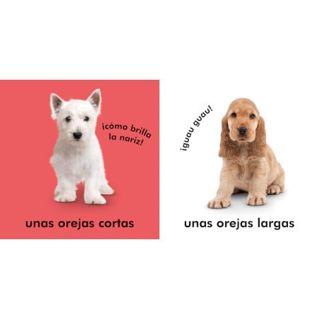 Toca Y Aprende: Perritos
