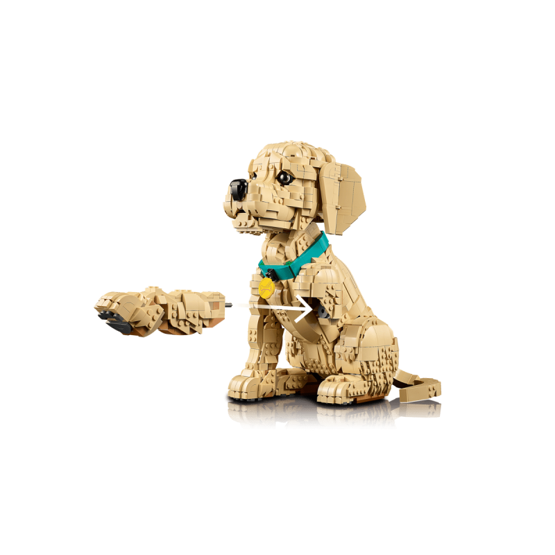 LEGO Icons Cachorro Golden Retriever 11384