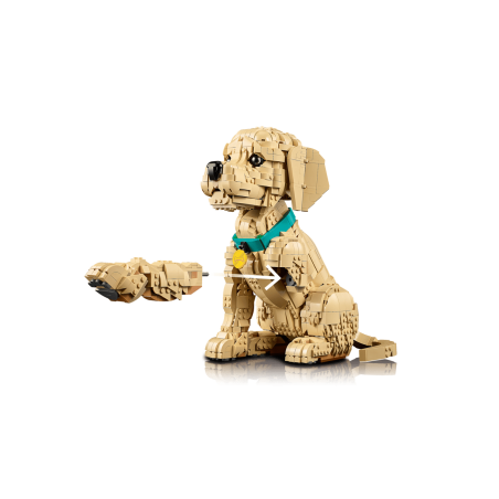 LEGO Icons Cachorro Golden Retriever 11384