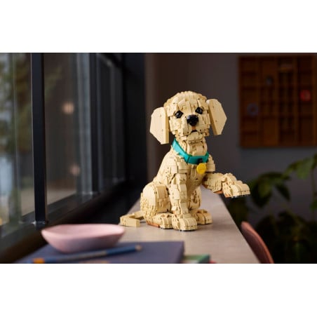 LEGO Icons Cachorro Golden Retriever 11384