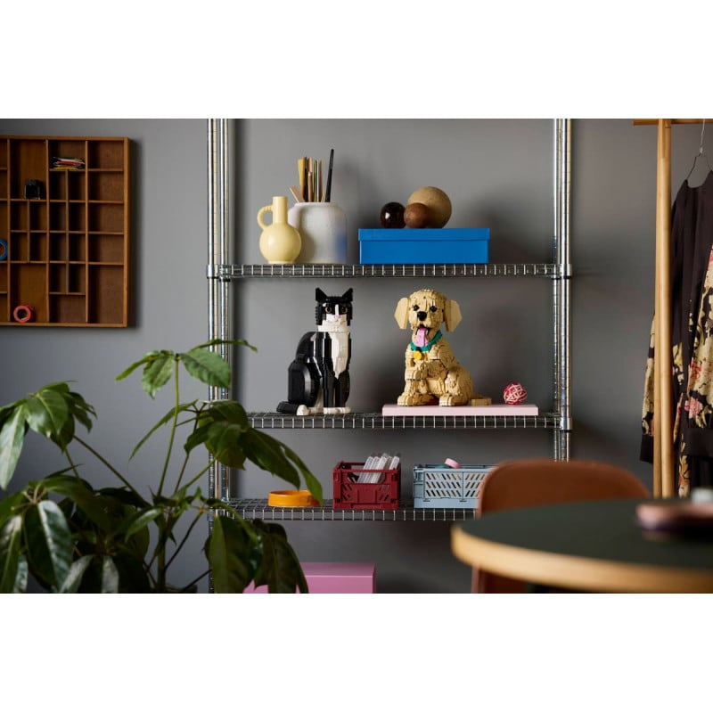 LEGO Icons Cachorro Golden Retriever 11384