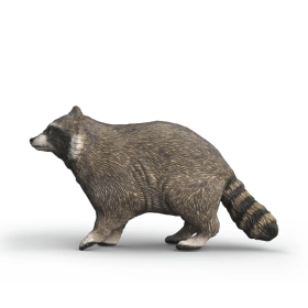 Schleich Mapache De Schleich 2
