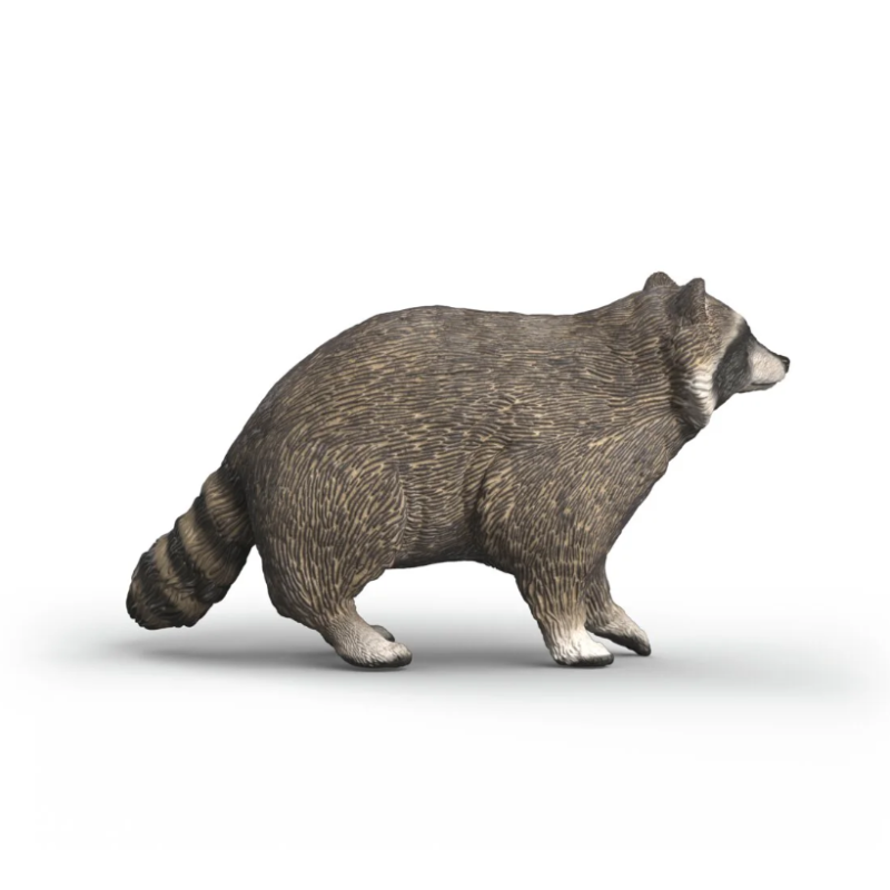 Schleich Mapache