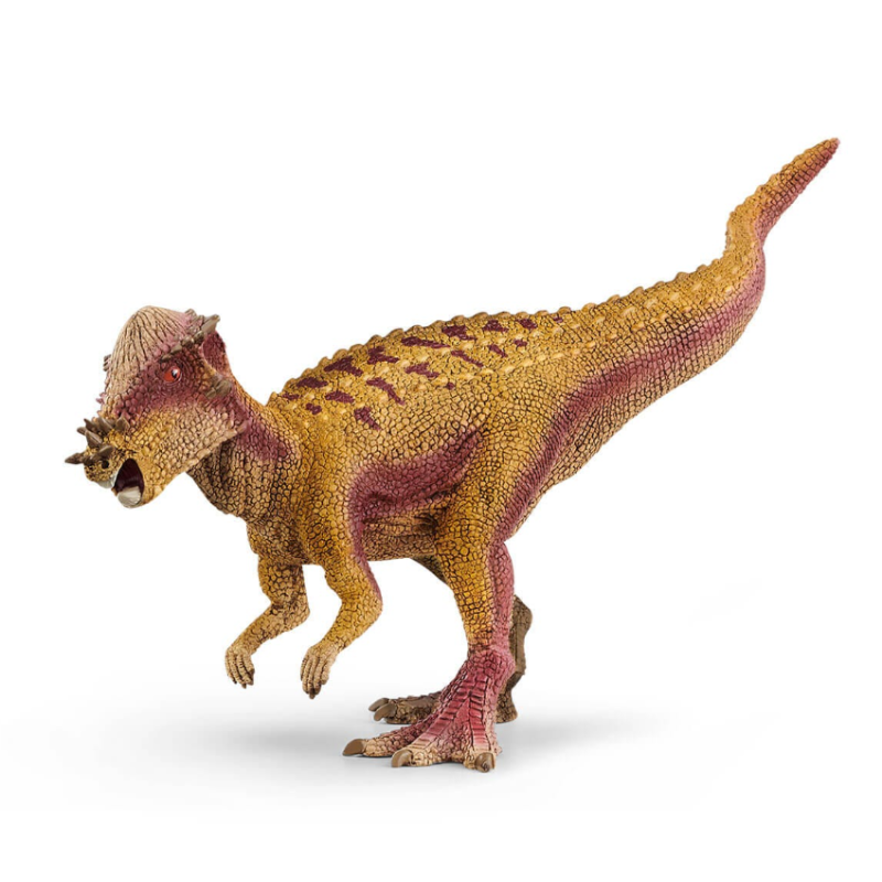 Schleich Paquicefalosaurio De Schleich