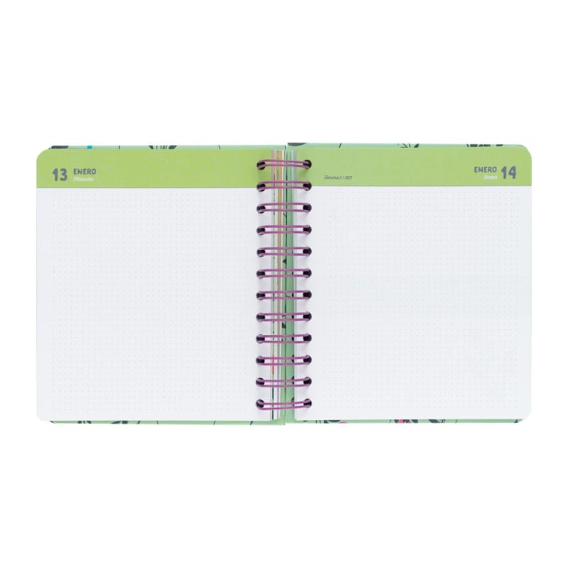 Agenda Escolar 26/27 Amelie