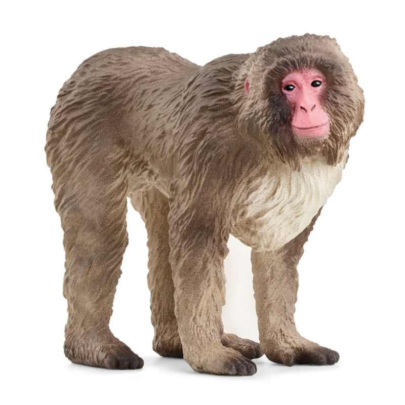 Schleich Macaco Japonés De Schleich