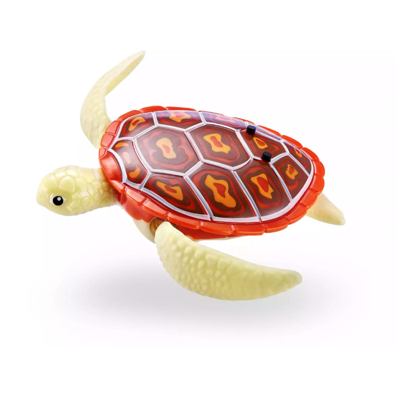 Robo Tortugas Colores Surtidos