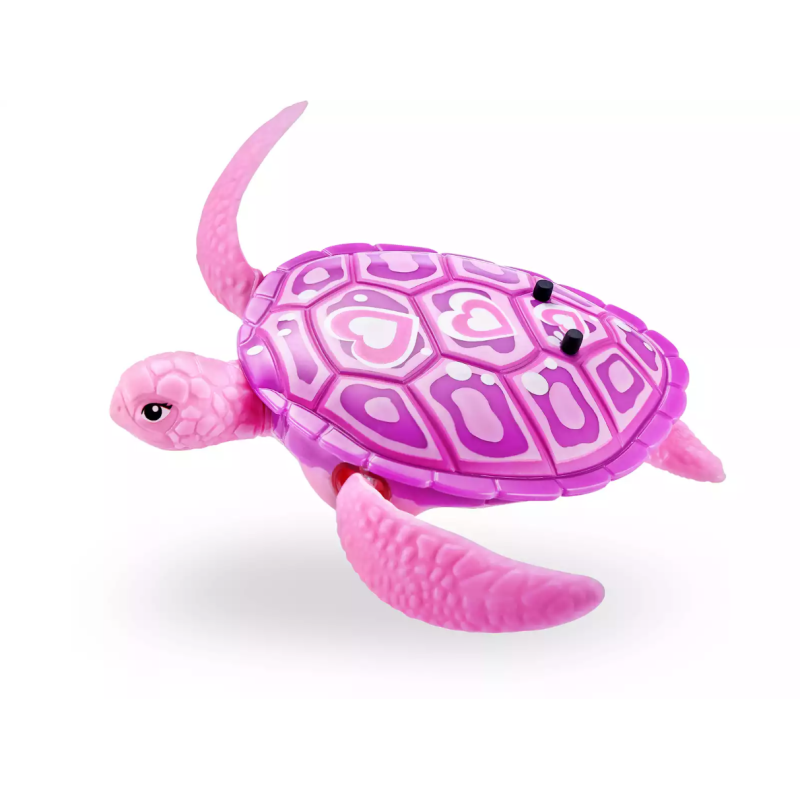 Robo Tortugas Colores Surtidos
