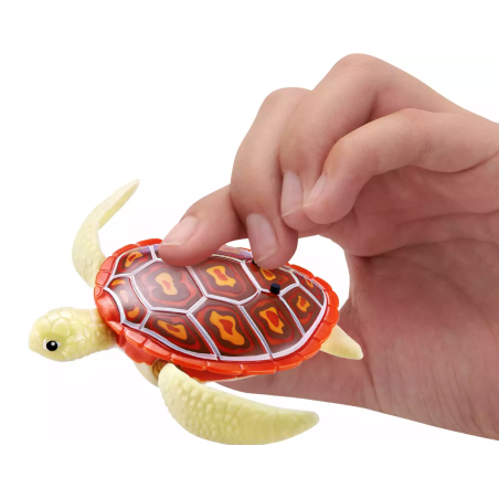 Robo Tortugas Colores Surtidos