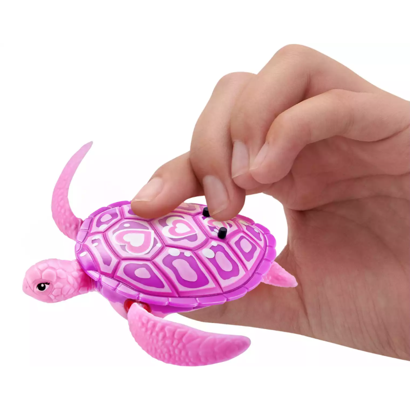 Robo Tortugas Colores Surtidos