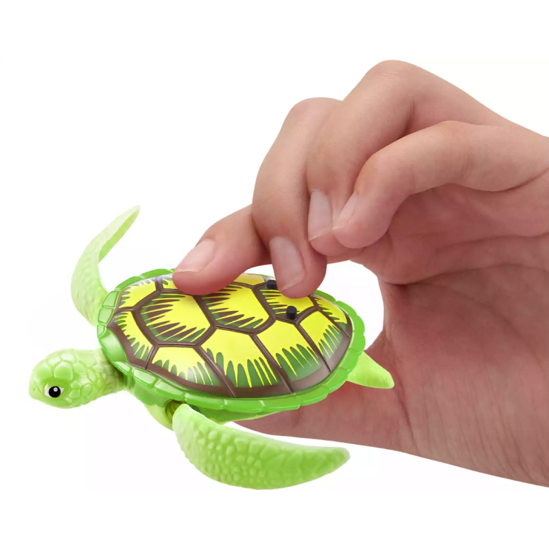 Robo Tortugas Colores Surtidos