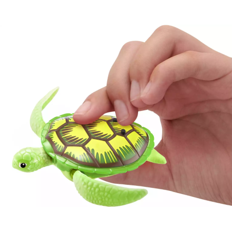 Robo Tortugas Colores Surtidos