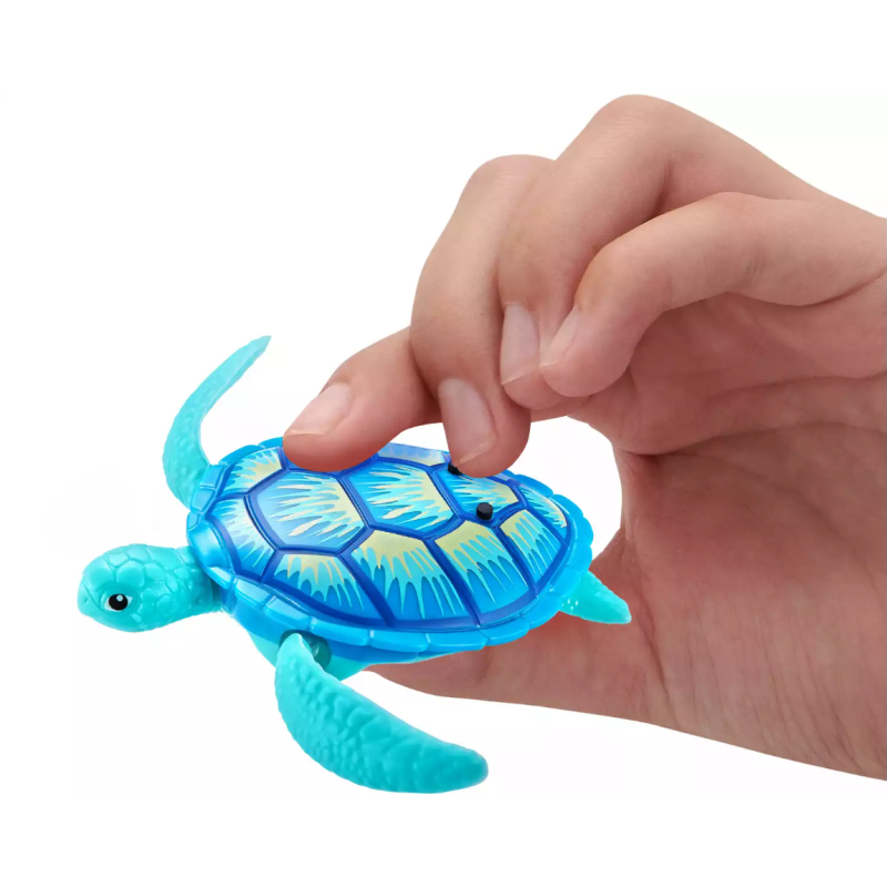 Robo Tortugas Colores Surtidos