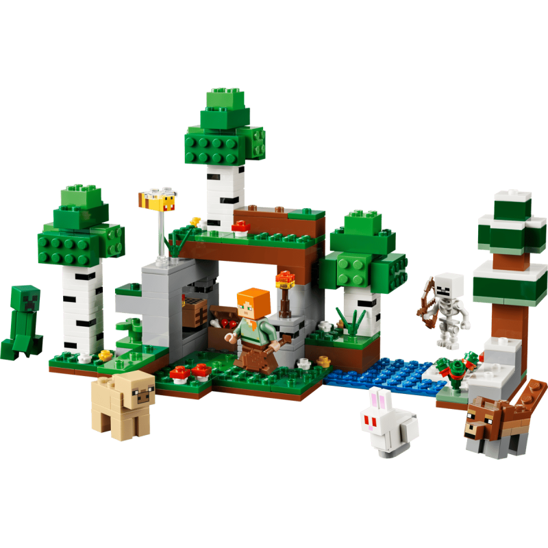 LEGO Minecraft Aventura de la Primera Noche 21593