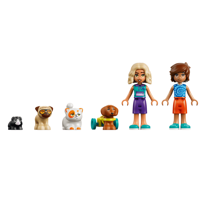 LEGO Friends Día Divertido En El Parque Acuático 42676