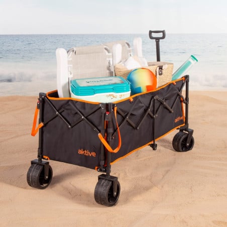 Carro De Playa Plegable XXL 125x94x58 Cm