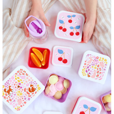 Set De 4 Fiambreras Infantiles Flores