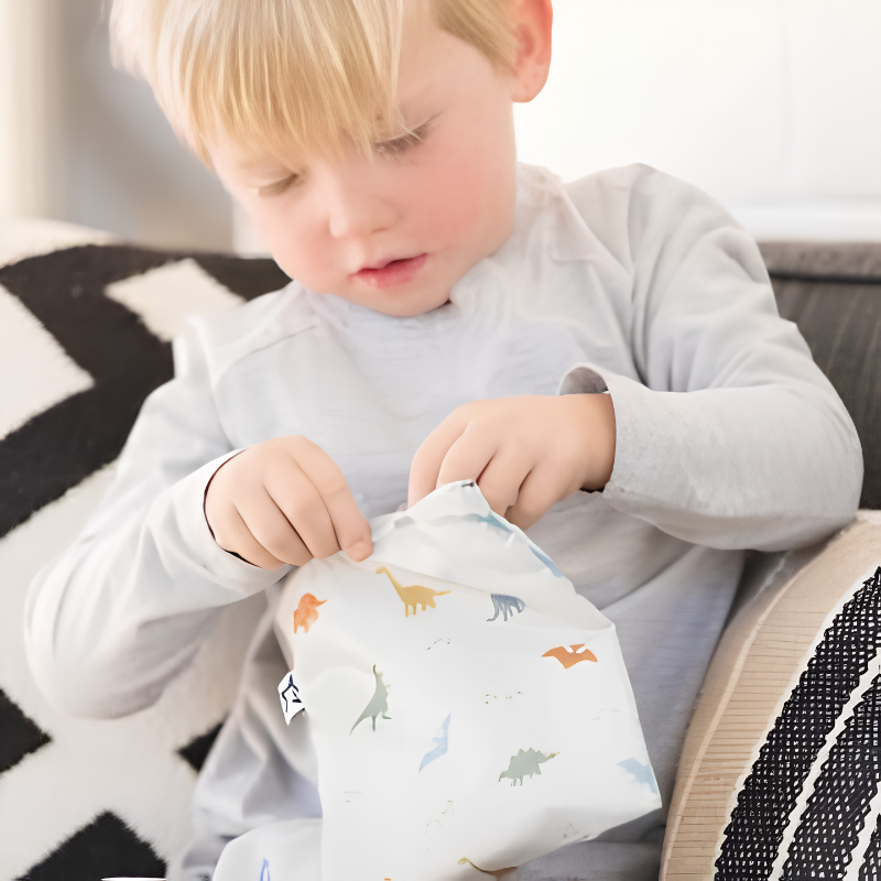 Pack 5 Bolsas Snack Dinosaurios