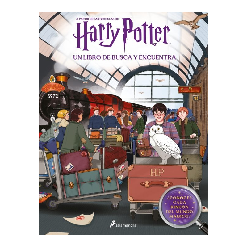 Harry Potter Busca y Encuentra