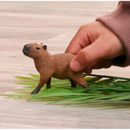 Schleich Capibara