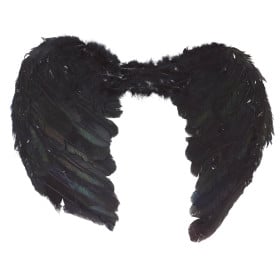 Alas Con Plumas Negras 60 Cm De Guirca 2
