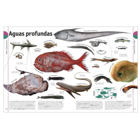 el libro de los animales 2