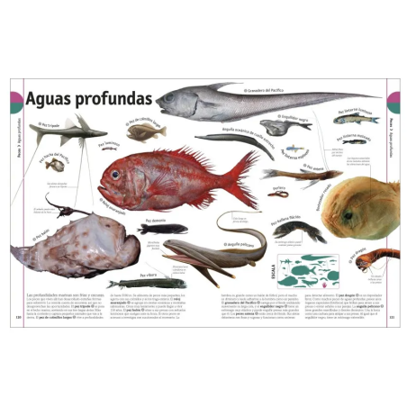 El Libro de los animales