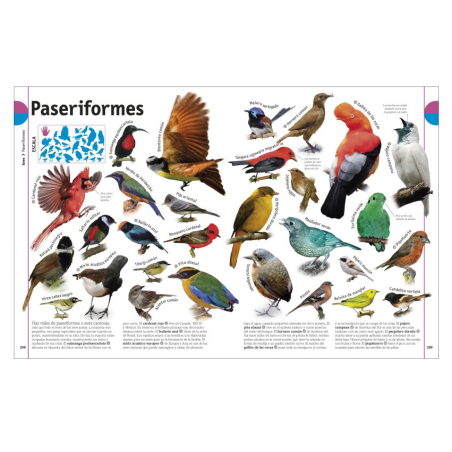 El Libro de los animales
