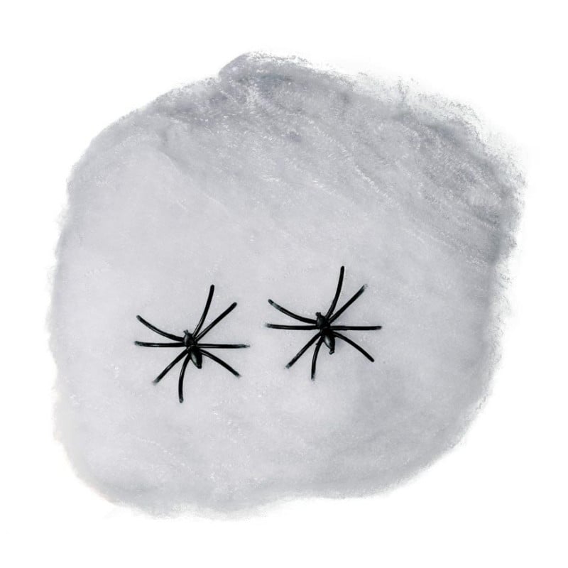 Bolsa De Telaraña Blanca 10 Gr