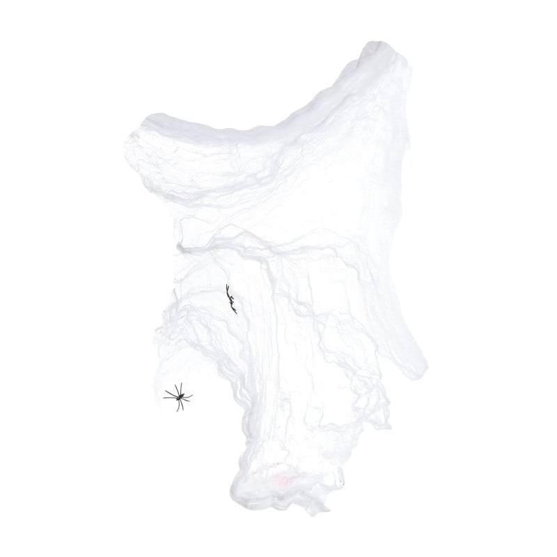Bolsa De Telaraña Blanca 10 Gr