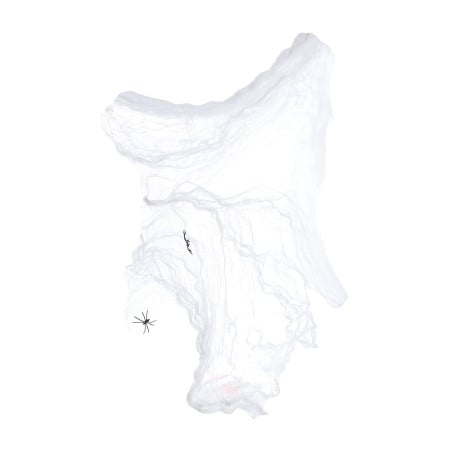 Bolsa De Telaraña Blanca 10 Gr
