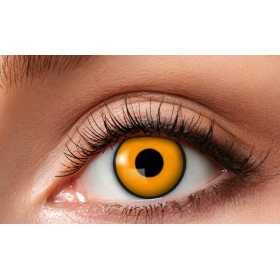 Lentillas Cuervo Amarillo 3 Meses